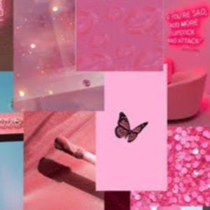 Meet your Posher, Addison